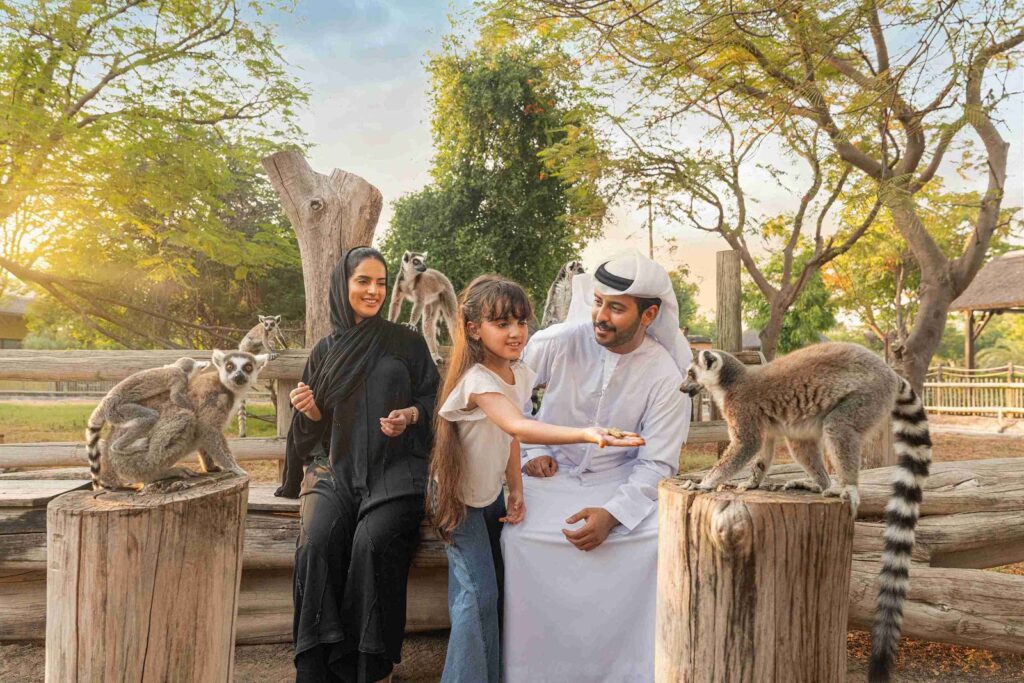 Dubai Safari Park: A Public Wildlife